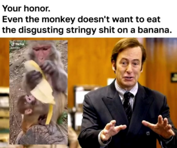 before you accuse me of being picky lets bring in the expert witness.png