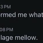 permanently banned for harshing the village mellow.jpeg