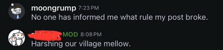 permanently banned for harshing the village mellow.jpeg