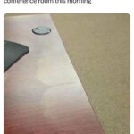 great work champ.jpeg