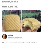 the japanese are years ahead of us in ice cream sandwich technology.jpeg