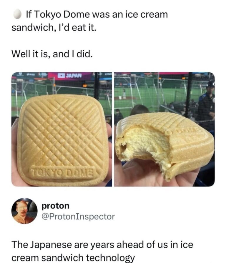 the japanese are years ahead of us in ice cream sandwich technology.jpeg