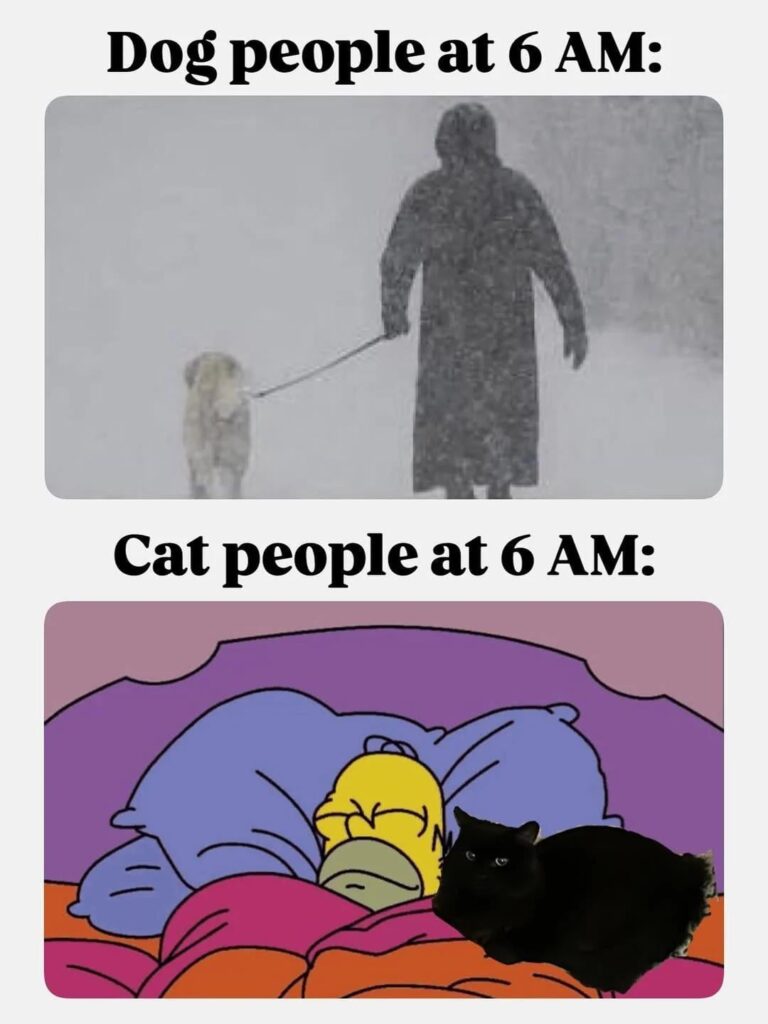 me irl.jpeg