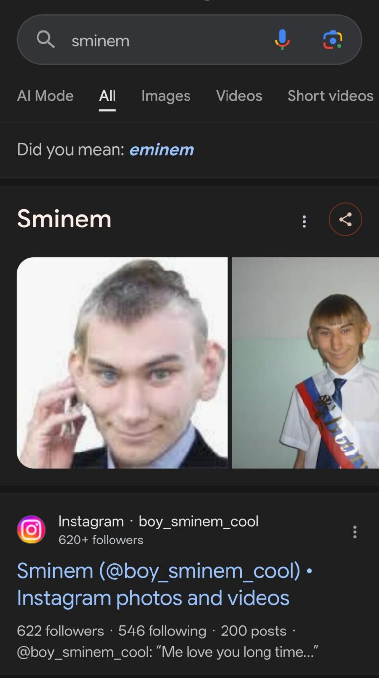accidentally searched sminem result didnt disappoint.jpeg