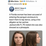 florida penguin tap dance alligator pineapple.png