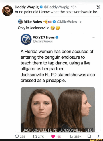 florida penguin tap dance alligator pineapple.png