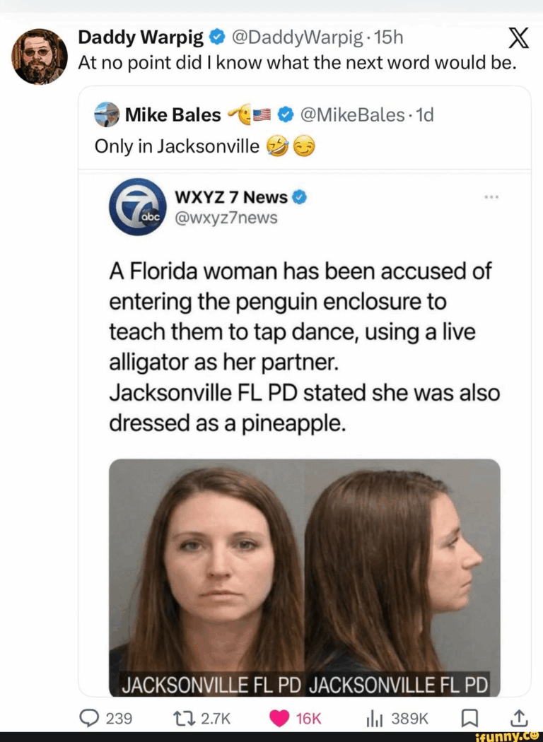 florida penguin tap dance alligator pineapple.png