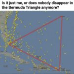 bermuda triangle out if business.jpeg