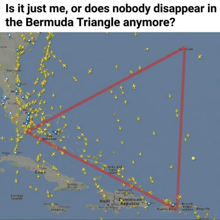 bermuda triangle out if business.jpeg