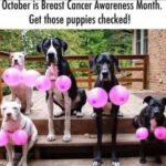 happy october efb88f.jpeg