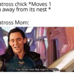 who are you kind sir.jpeg