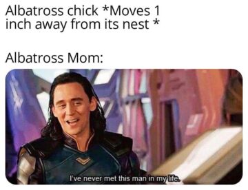 who are you kind sir.jpeg