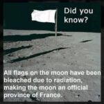 and for a staggering lunar budget of 0e only.jpeg