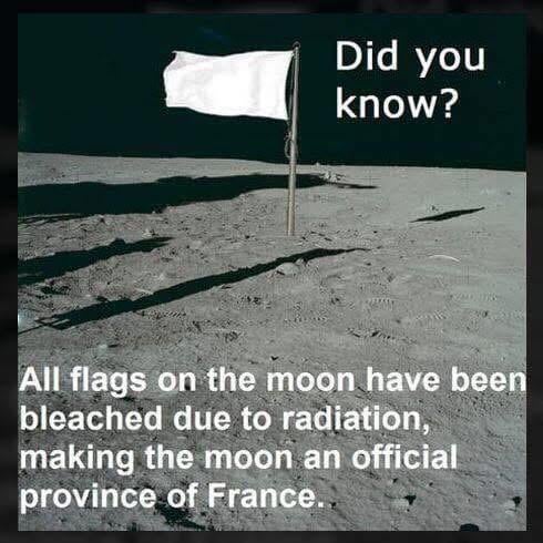 and for a staggering lunar budget of 0e only.jpeg