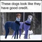 lol tacky joke i know efb88f.jpeg