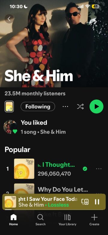 just found out zoey deschanel sings this song had no idea she had other song besides the theme song for the show.jpeg