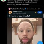 a sodden grasshopper from louisiana that came to your front porch specifically for dry pinecones.jpeg