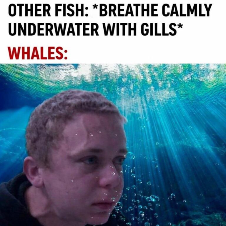 evolution you can breathe underwater.jpeg