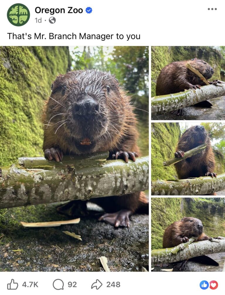 we just say branch manager.jpeg