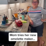 heres your omelette bitch.png