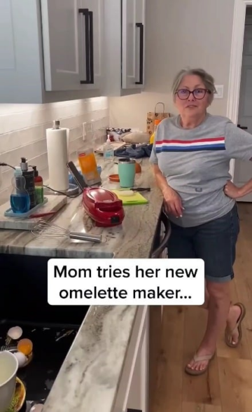 heres your omelette bitch.png