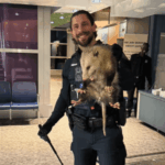 possum got into my childrens hospital lobby.png