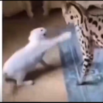 you must not know who i am.png