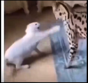 you must not know who i am.png