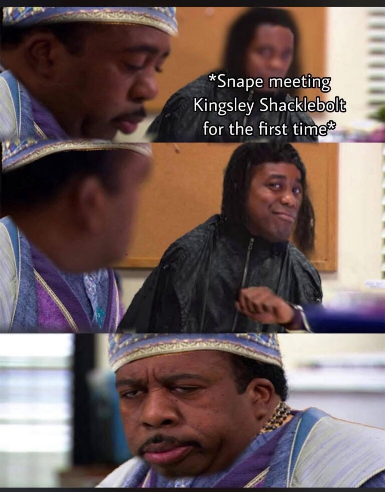 for all potterheads in this sub.jpeg