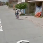 it is a miraculous moment captured by google street view.png