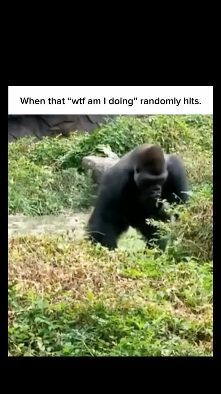 i hit this at least 5 times a day.png