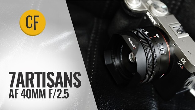 wp header logo 100.png