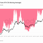 wp header logo 113.png