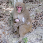 wp header logo 127.png