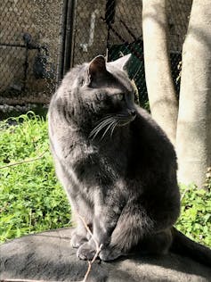 wp header logo 160.png