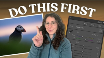 wp header logo 181.png