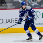 wp header logo 204.png