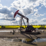 wp header logo 209.png