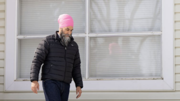 wp header logo 245.png