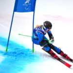 wp header logo 262.png