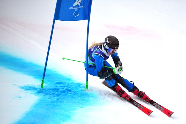 wp header logo 262.png