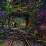 wp header logo 282.png