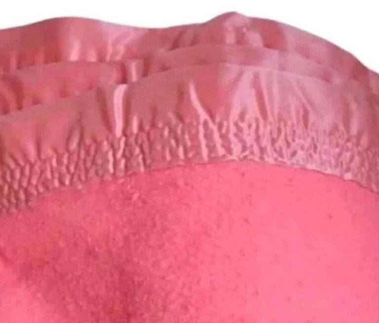 a blanket that most houses had.jpeg