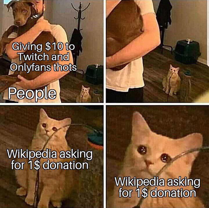 wikipedia.jpeg
