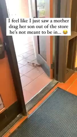 i guess mom didnt want him going into the store.png