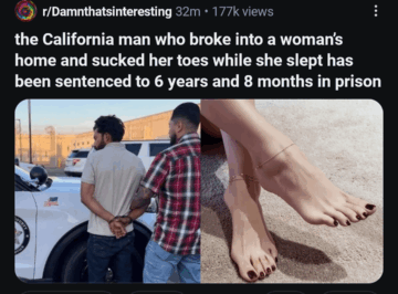 anns favorite lifetime movie has come to life.png