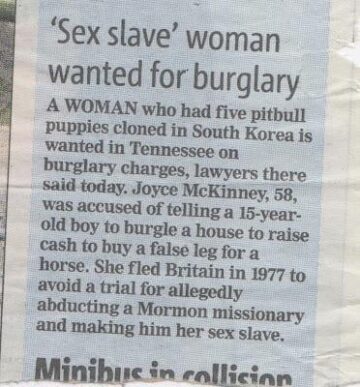 what on earth did i just read.jpeg