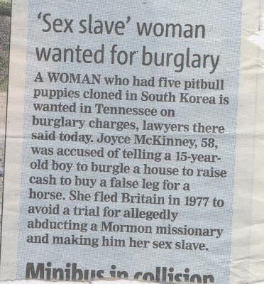 what on earth did i just read.jpeg