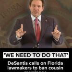 the les cousins dangereux plot thickens.jpeg