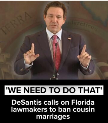 the les cousins dangereux plot thickens.jpeg